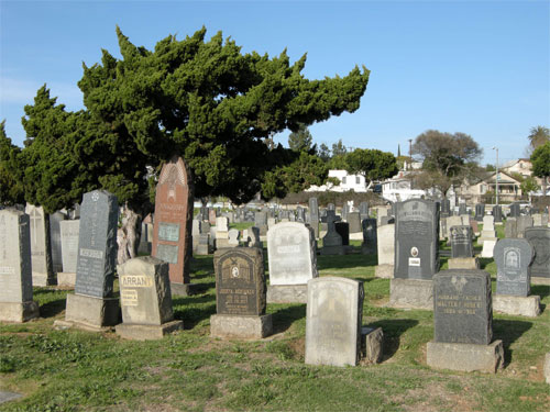 Bellevue Memorial Park grounds