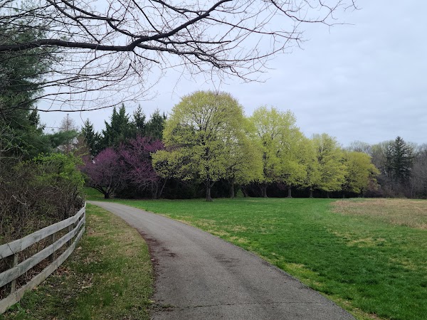 Bellevue State Park grounds
