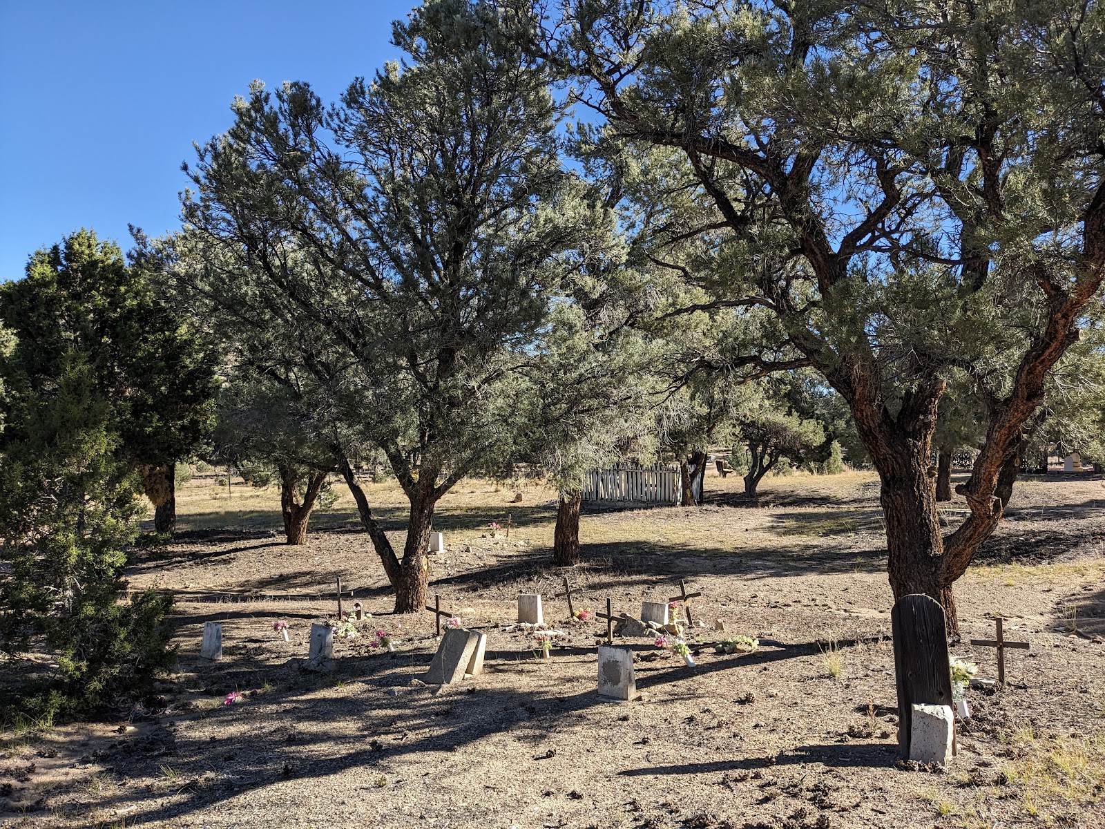 Belmont Cemetery cemetery grounds and headstones