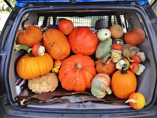 Belton Cemetery grounds
