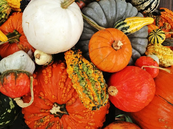 Belton Cemetery grounds