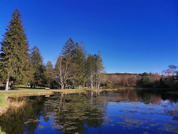 Benson Park grounds