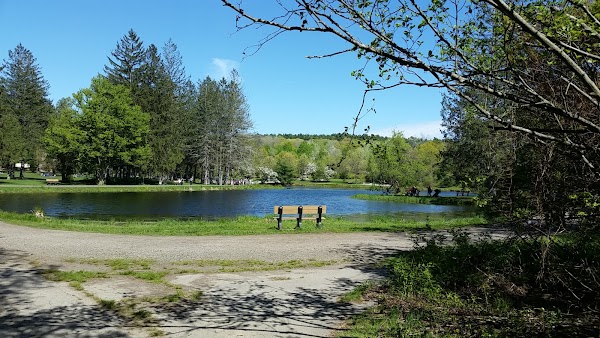 Benson Park grounds