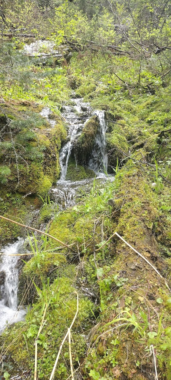 Berne Roadside Park grounds