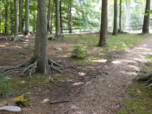 Bestgate Memorial Park grounds