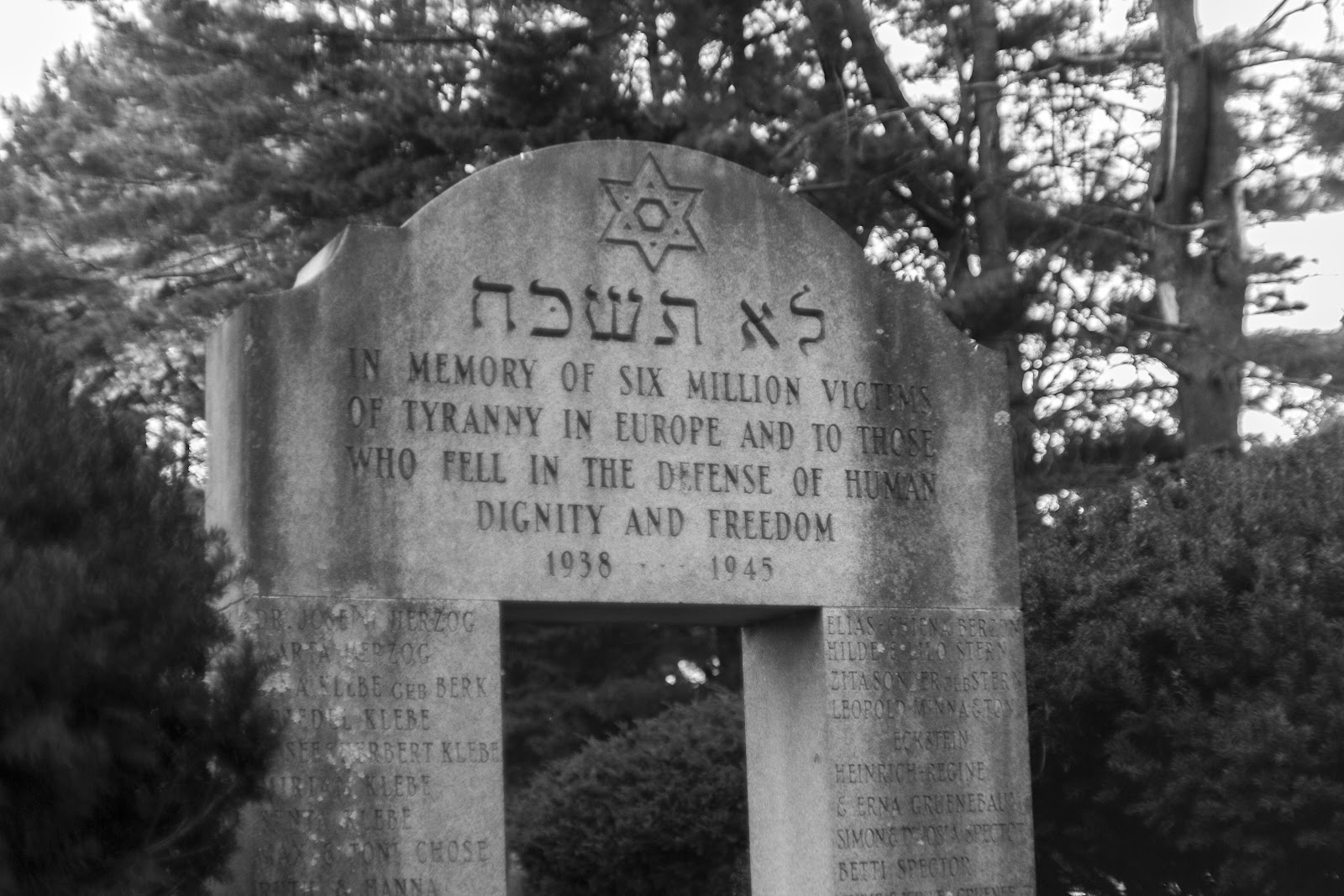 Beth El Memorial Park cemetery grounds and headstones