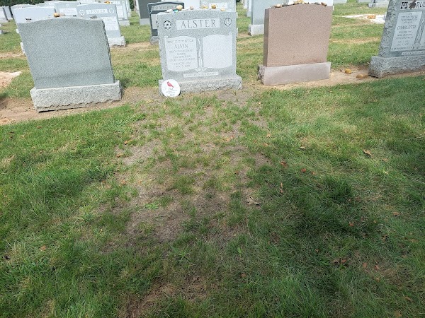 Beth Israel Cemetery grounds