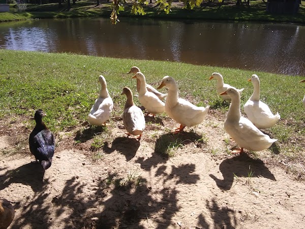 Bettie C. Robertson Memorial Park grounds