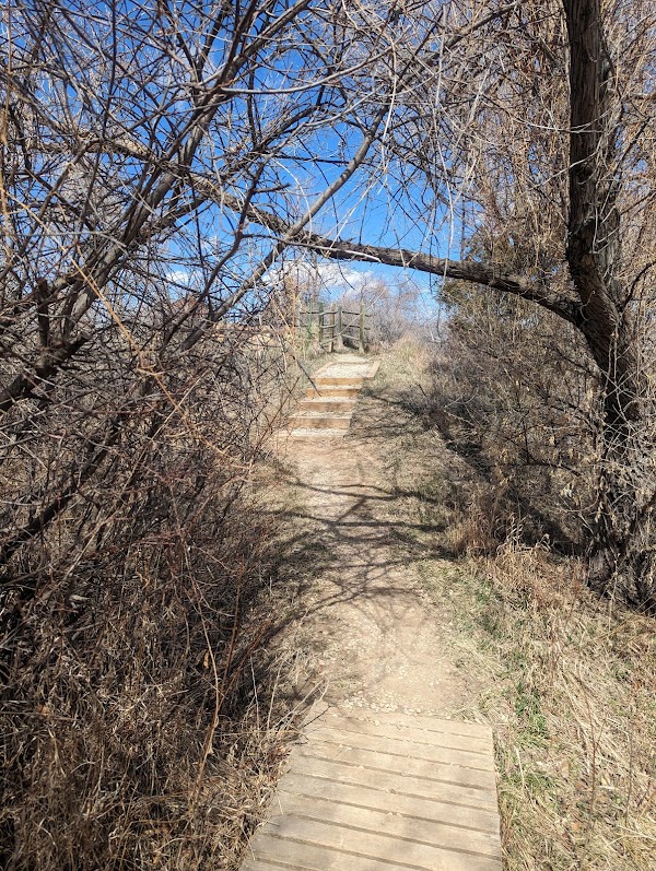 Bingham Hill Cemetery grounds
