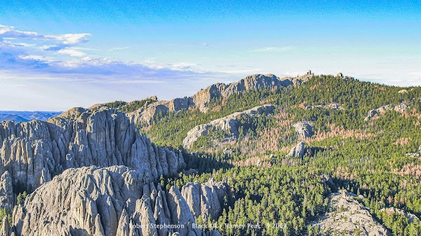 Black Hills National Forest grounds