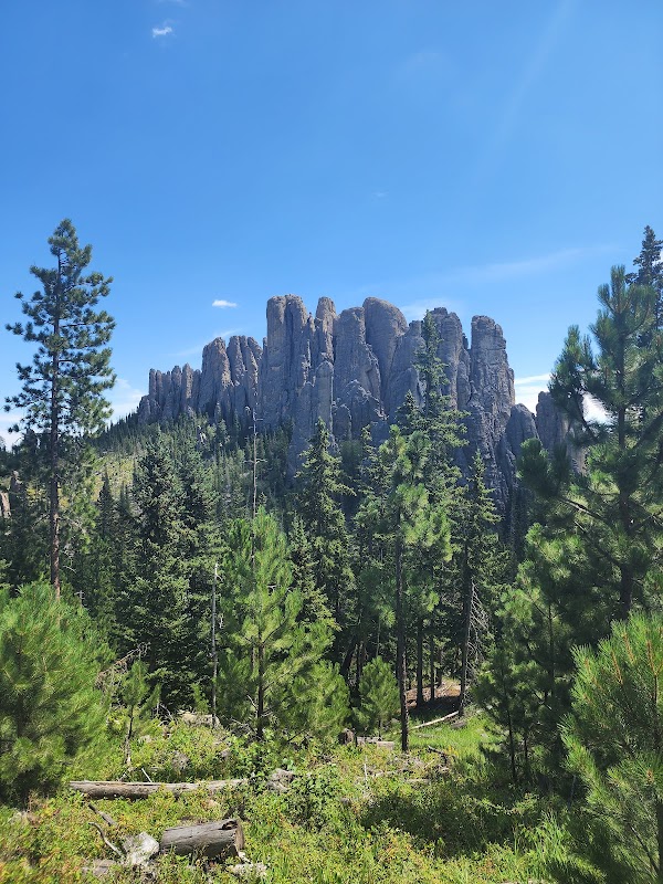 Black Hills National Forest grounds