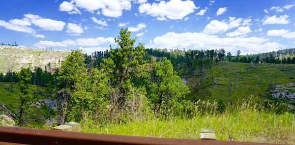 Black Hills National Forest grounds