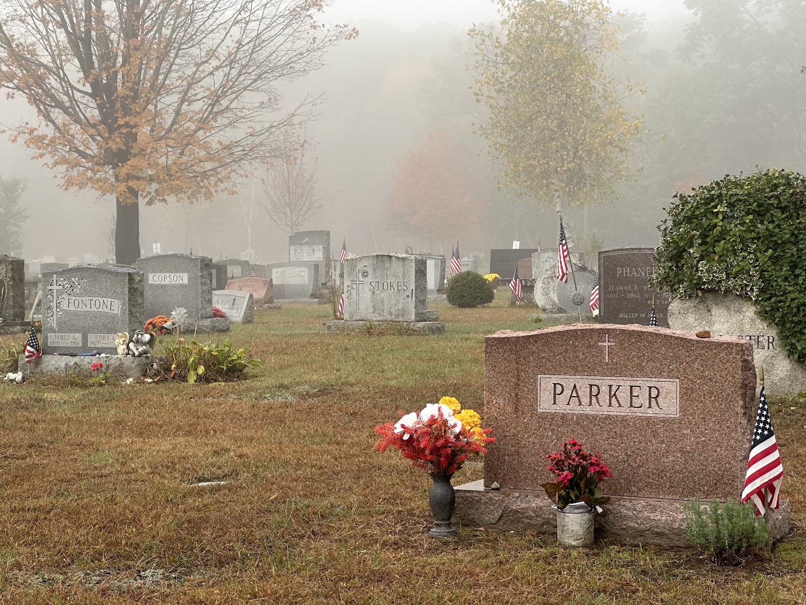 Blossom Hill Cemetery cemetery grounds and headstones