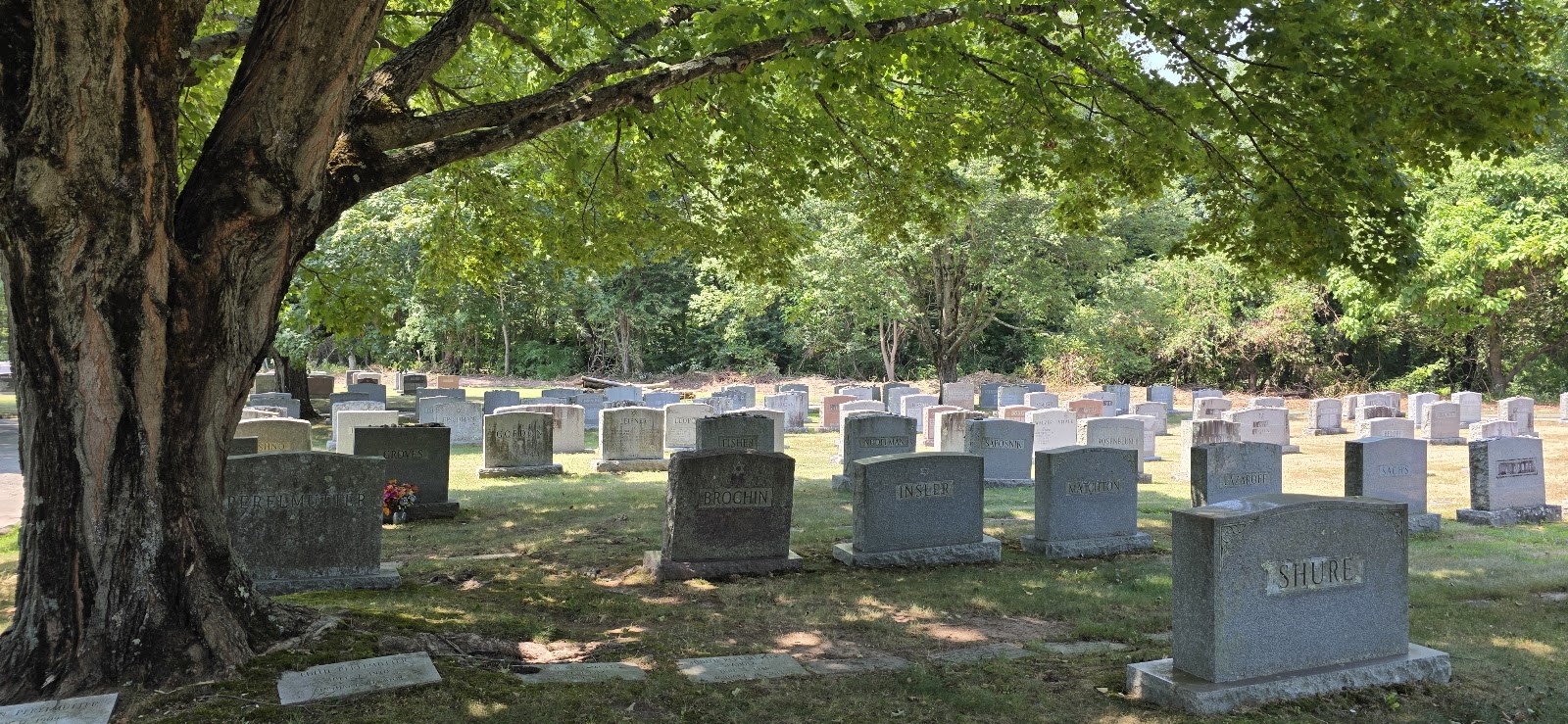 B'nai Jacob Memorial Park cemetery grounds and headstones