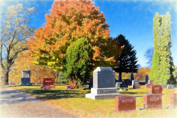 Bohemian Cemetery grounds