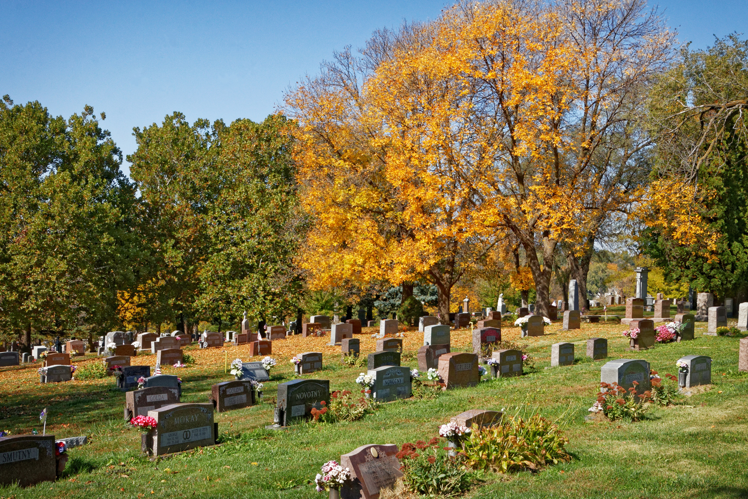 Bohemian Cemetery cemetery grounds and headstones