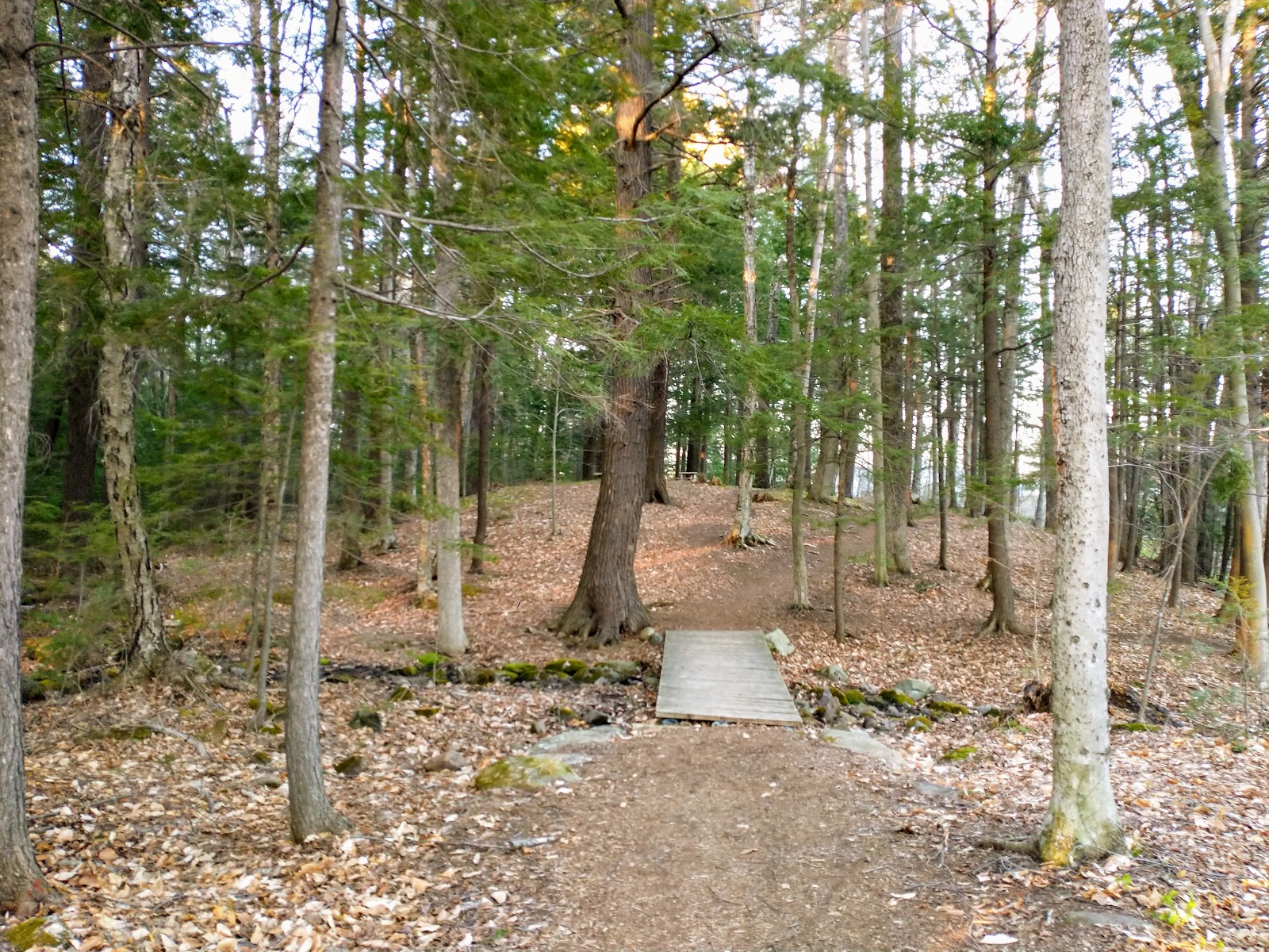 Bonney Woods Memorial