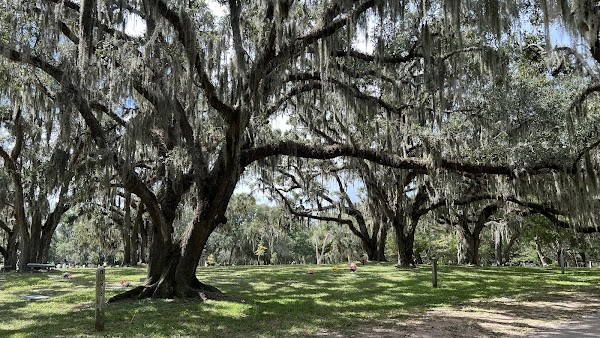 Bosque Bello Cemetery grounds