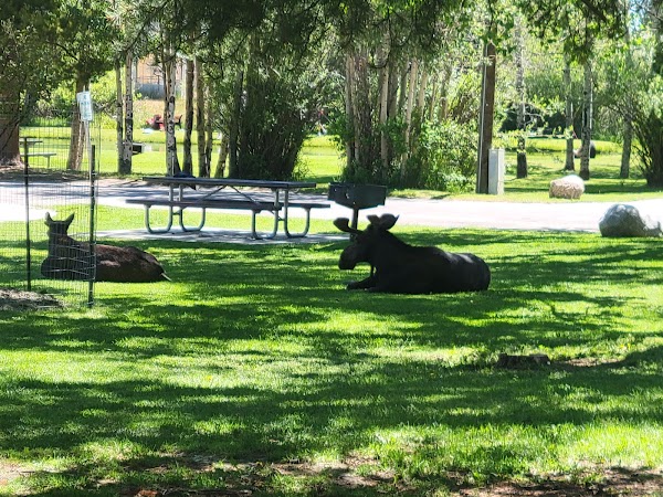 Boyd Skinner Park grounds
