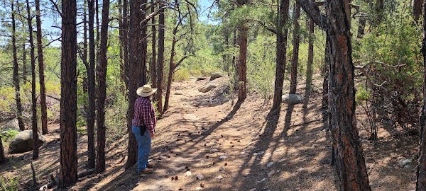 Bradshaw City Cemetery grounds