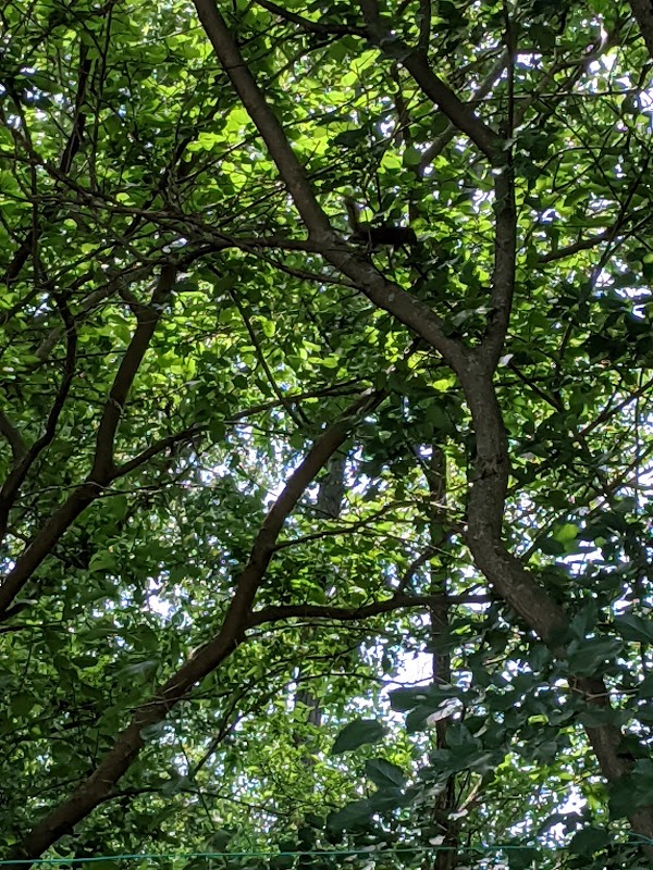 Branch County Memorial Park grounds