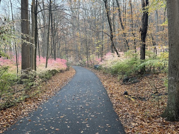 Brandywine Creek State Park grounds