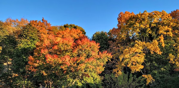 Branford Center Cemetery grounds