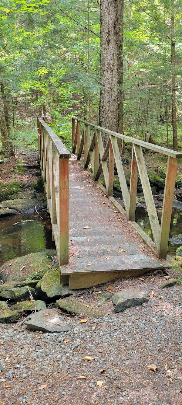 Bretzfelder Memorial Park grounds