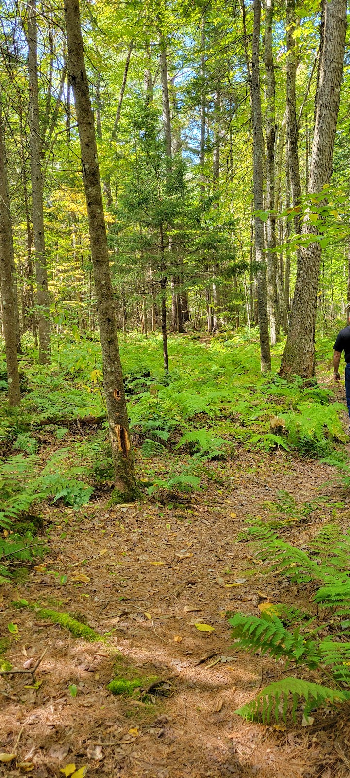 Bretzfelder Memorial Park cemetery grounds and headstones