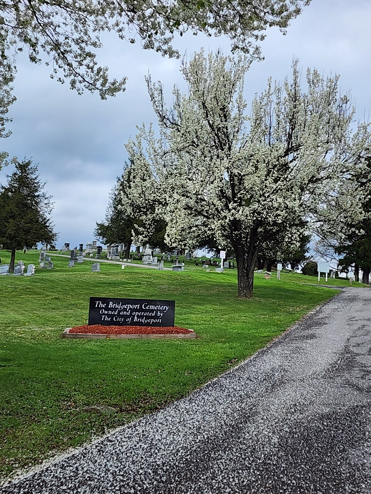 Bridgeport Cemetery cemetery grounds and headstones