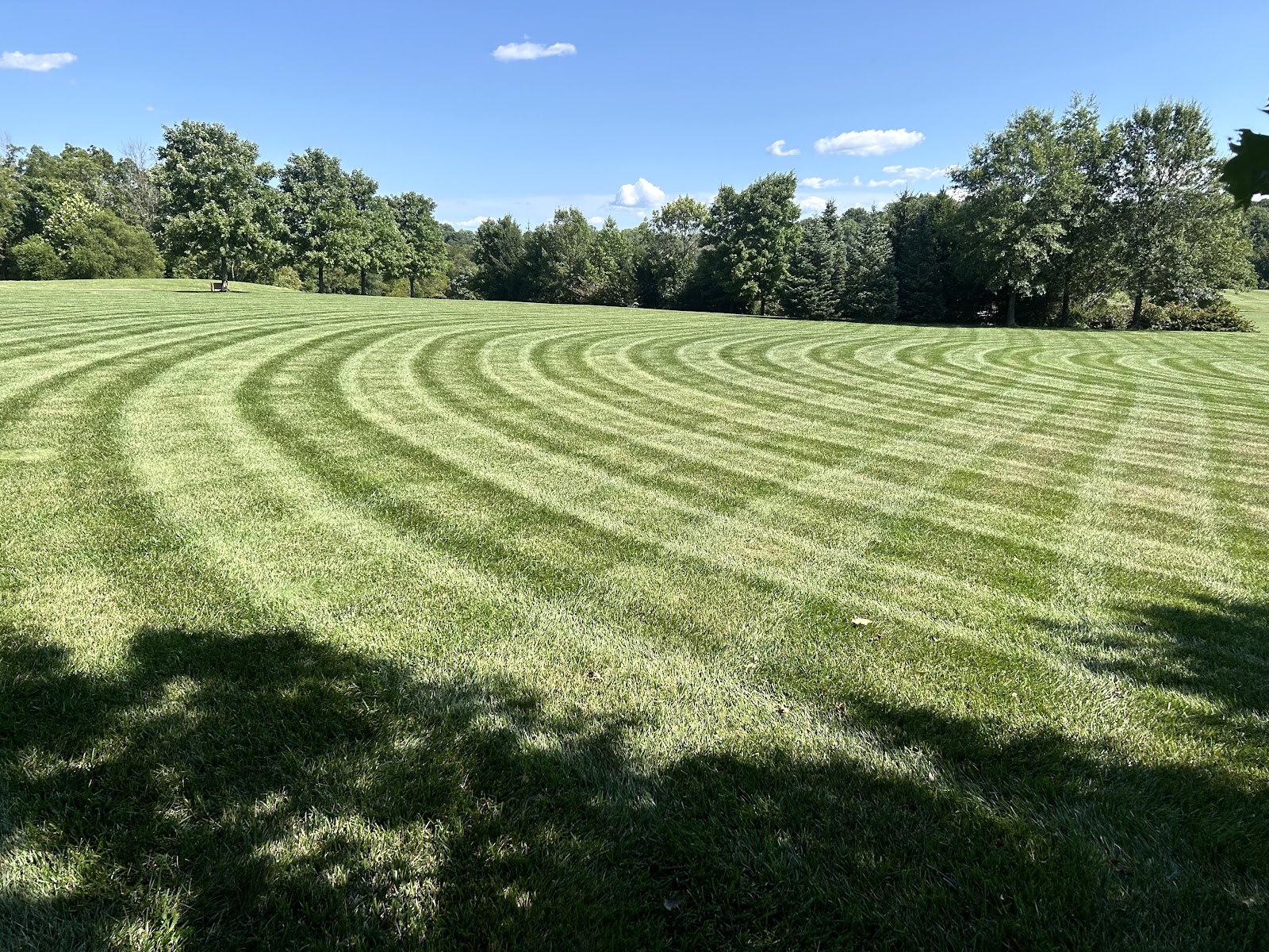Brigadier General William C. Doyle Memorial Cemetery cemetery grounds and headstones