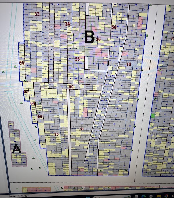 Brigham City Cemetery grounds
