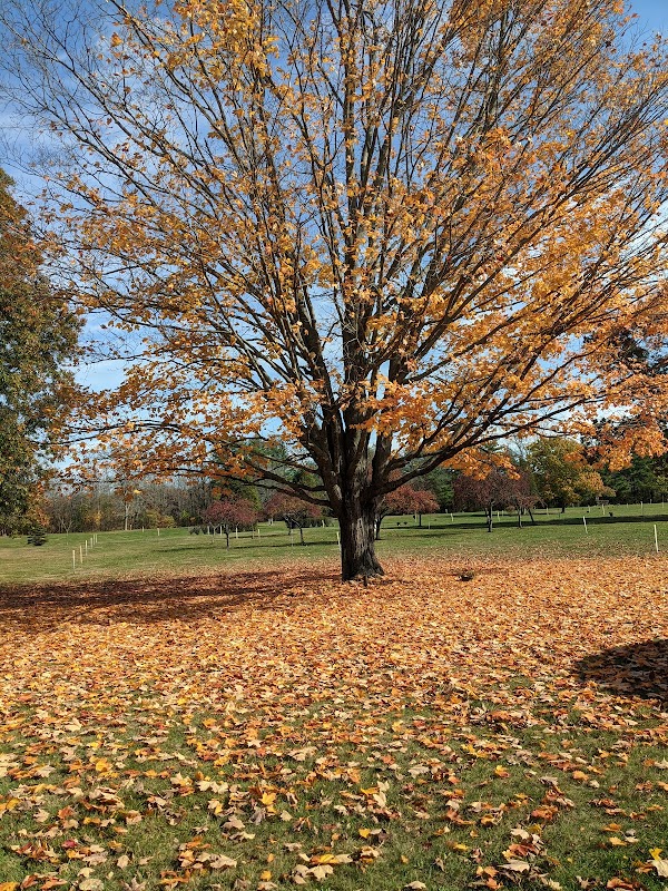 Brooklawn Memorial Park grounds