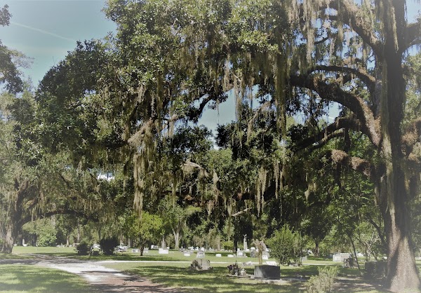 Brooksville Cemetery grounds