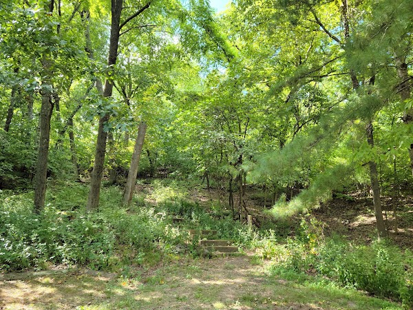 Bud Weil Memorial Park grounds
