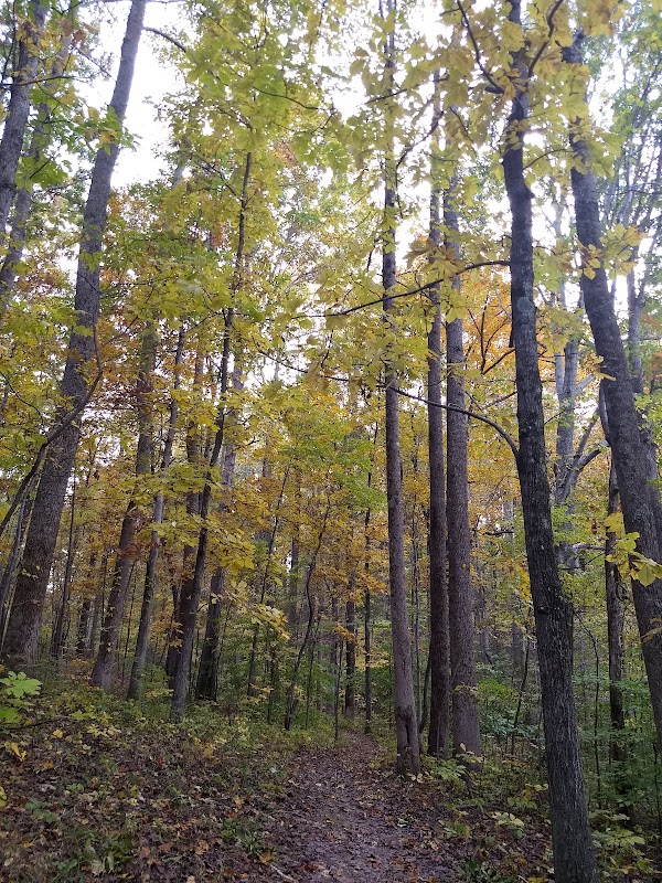 Buford McCord Memorial Park grounds