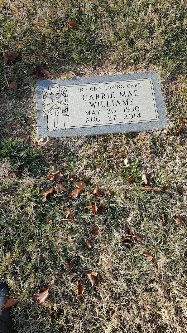 C C Williams Memorial Park grounds