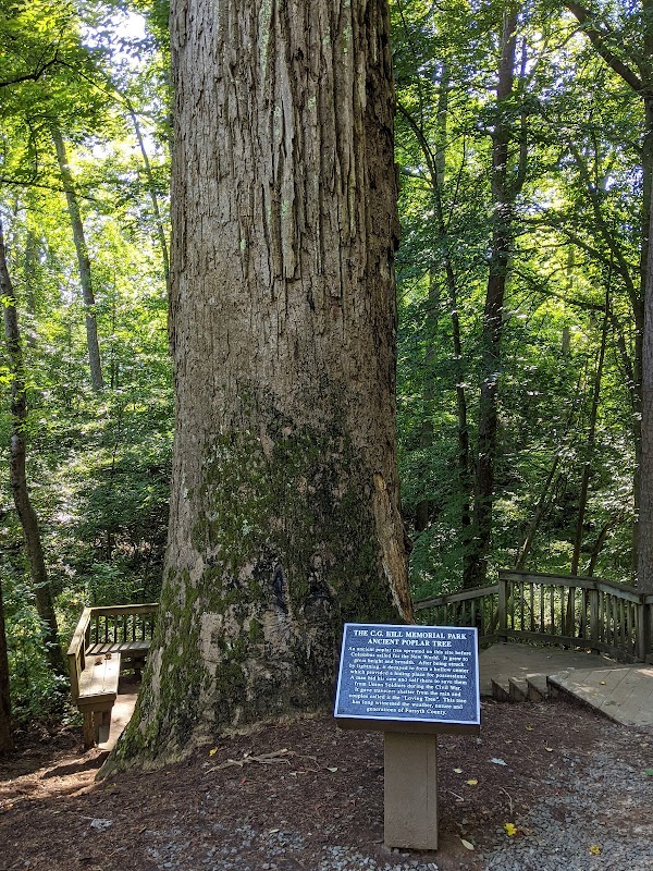 C G Hill Memorial Park grounds