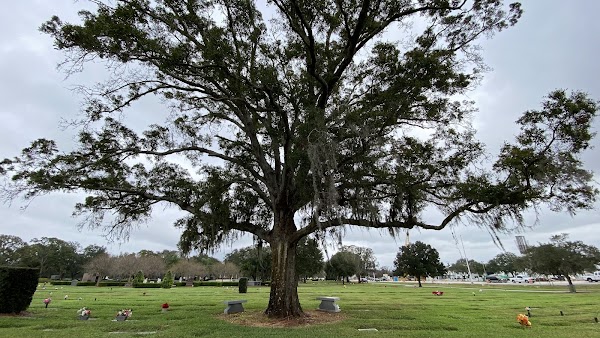 Calvary Catholic Cemetery grounds