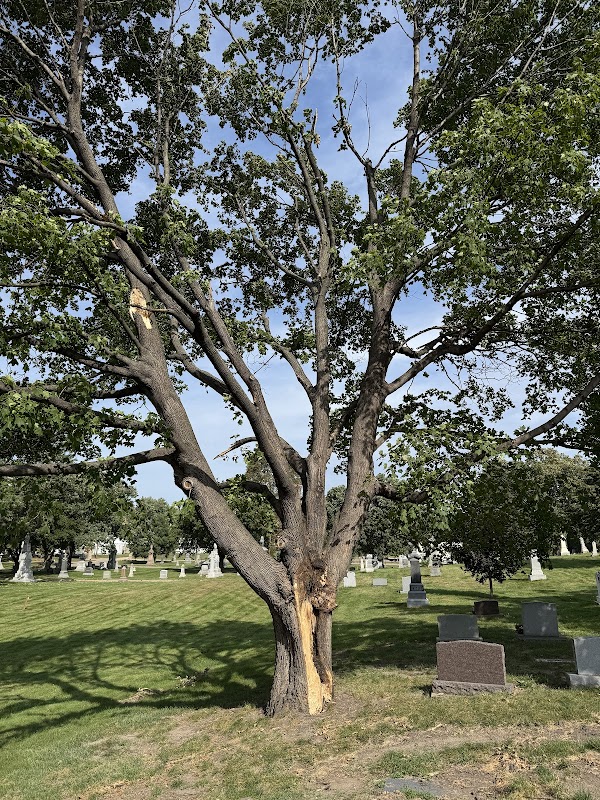 Calvary Cemetery grounds