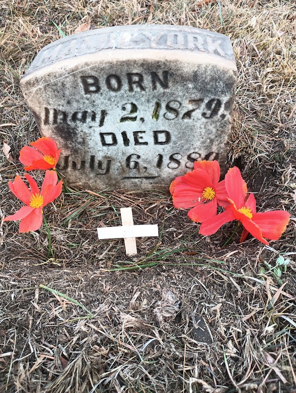 Calvary Cemetery grounds