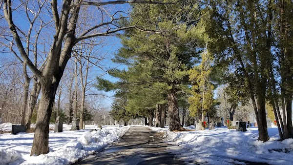 Calvary Cemetery grounds