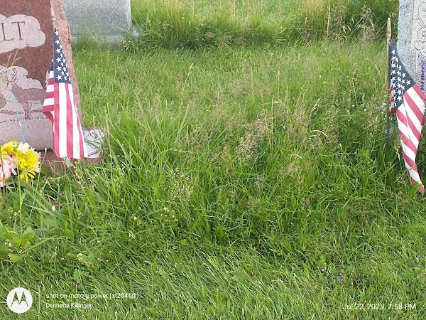 Calvary Cemetery grounds