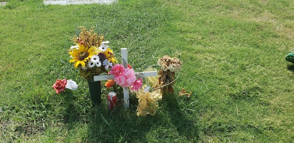 Calvary Cemetery grounds