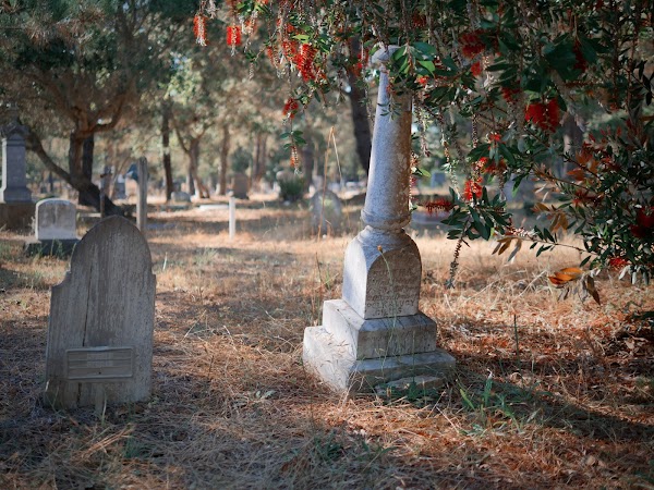Cambria Cemetery grounds