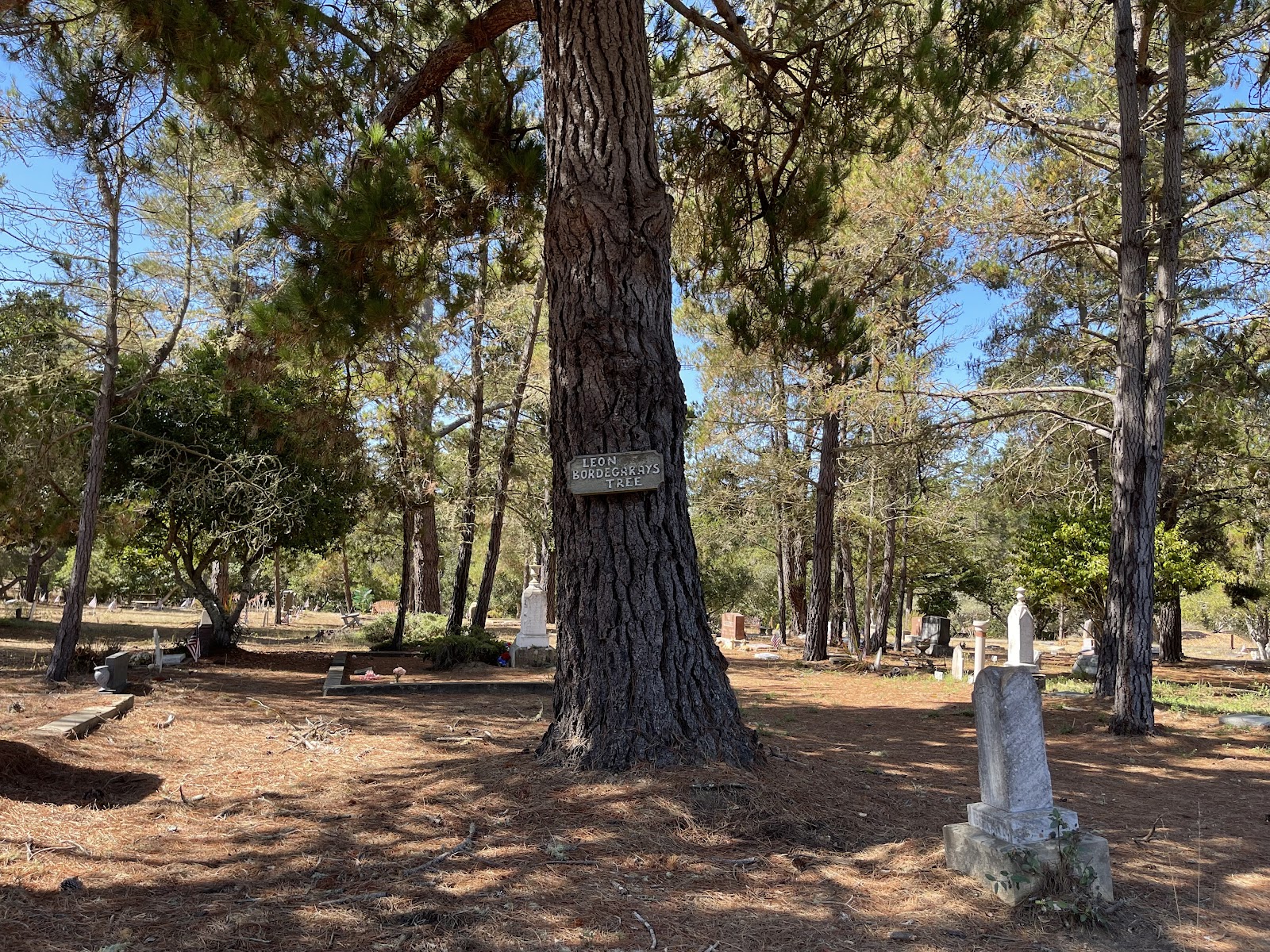 Cambria Cemetery cemetery grounds and headstones