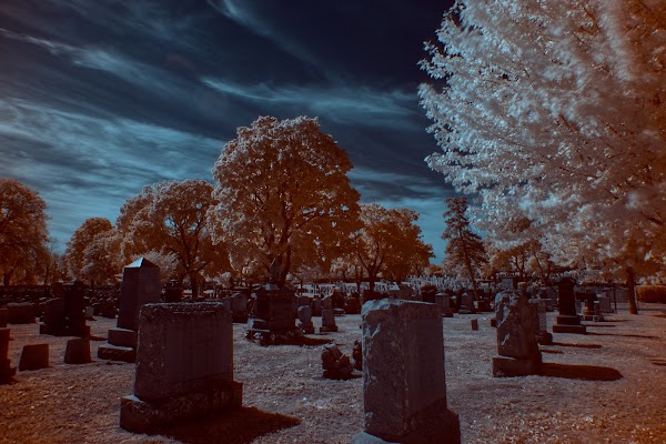 Cambridge Cemetery grounds