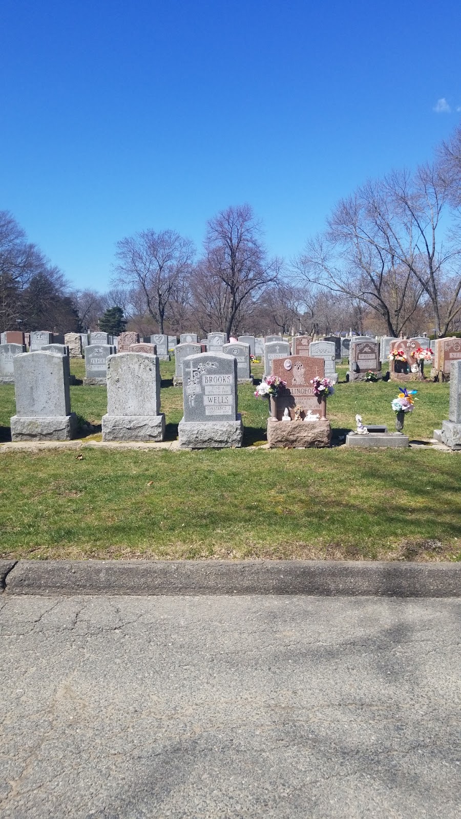 Cambridge Cemetery cemetery grounds and headstones