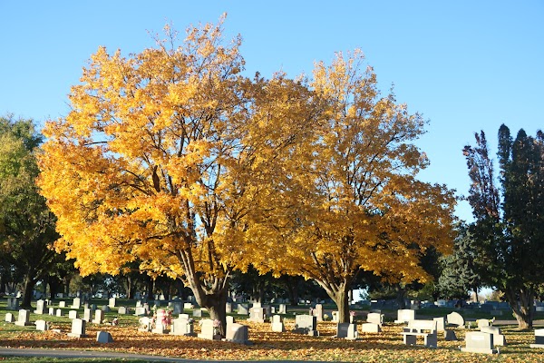 Canyon Hill Cemetery grounds