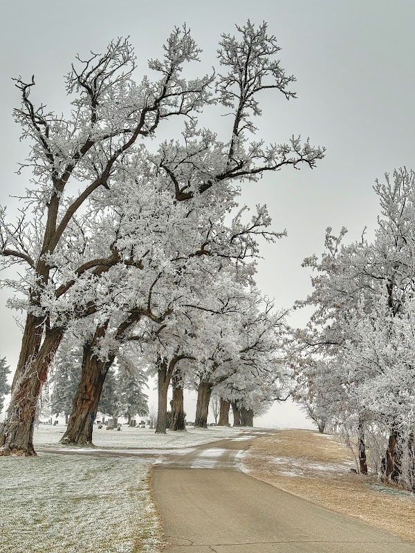 Canyon Hill Cemetery grounds